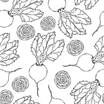 Seamless Background of Ripe Beets. Endless Pattern of Beetroot with Top Leave 库存插图