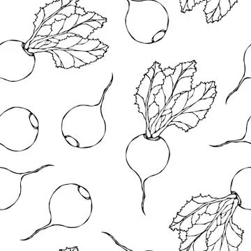 Seamless Background of Ripe Beets. Endless Pattern of Beetroot with Top Leave 스톡 일러스트