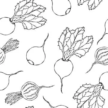 Seamless Background of Ripe Beets. Endless Pattern of Beetroot with Top Leave Stockillustratie