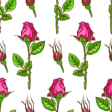 Seamless background of roses Illustrazione stock