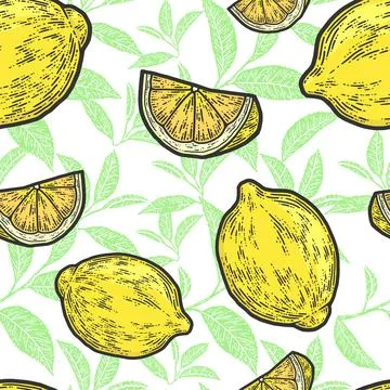 Seamless background. Set of whole lemon and slice. Sketch scratch board Stock Illustration