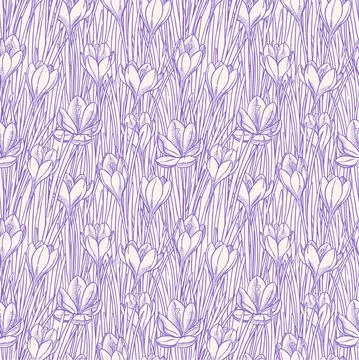 Seamless background with sketch crocuses Ilustración de archivo