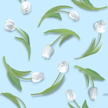 Seamless background from spring flowers. Pattern of tulips Stock Illustration