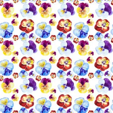 Seamless background with violets isolated on white background. Watercolor dra Illustrazione stock