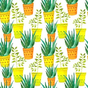 Seamless background with watercolor cactus and succulent. Watercolor Stock Illustration