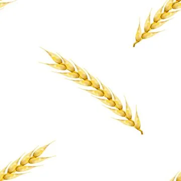 Seamless background with wheat spikelets, vector illustration. Stock Illustration