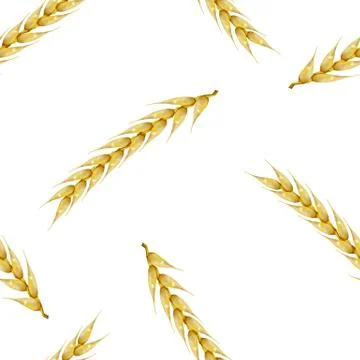 Seamless background with wheat spikelets, vector illustration. Stock Illustration