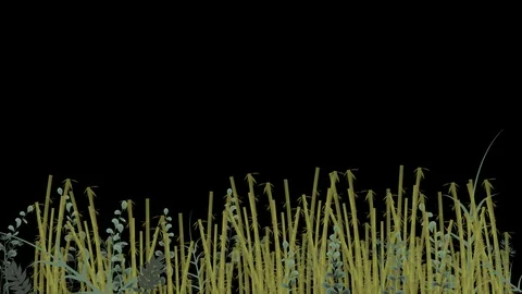 Seamless Bamboo Pattern in Loop Transparent Alpha Channel Stock Footage 123137426