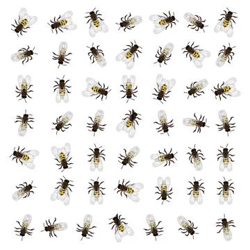 Seamless bee pattern A seamless repeating pattern design with working bees... Stock Photos
