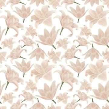 Seamless beige pattern of lily flower illustration from different angles on w Stock Illustration