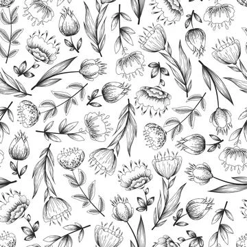 Seamless black and white vector pattern with hand drawn flowers isolated on w Stock Illustration