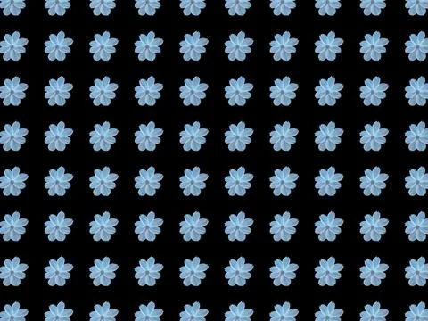 Seamless black background with repeating flower in blue Stock Illustration