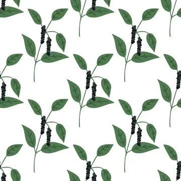 Seamless black pepper Stock Illustration