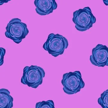 Seamless blue rose pattern 스톡 일러스트