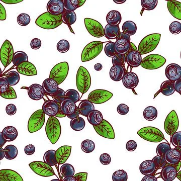 Seamless blueberry 库存插图