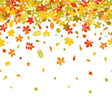 Seamless border Autumn falling leaf on white background. 스톡 일러스트