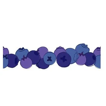 Seamless border of blueberry. Vector graphic line Botanical illustration for Stock Illustration