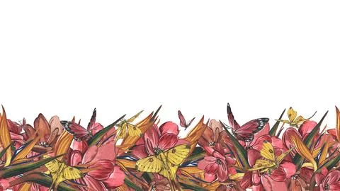 Seamless border butterfly, red flower, strelitzia isolated on white. Watercolor Stock Illustration