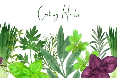 Seamless border composed of fresh vegetables and herbs Stock Illustration