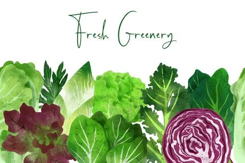 Seamless border composed of fresh vegetables and herbs Stock Illustration