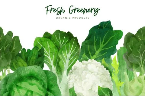 Seamless border composed of fresh vegetables and herbs Stock Illustration