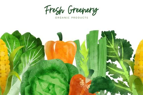 Seamless border composed of fresh vegetables and herbs Stock Illustration