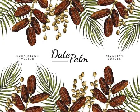 Seamless border with concept of date palm tree, hand drawn sketch vector Stock Illustration