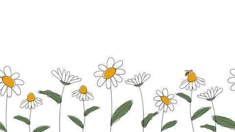Seamless border of daisies Stock Illustration