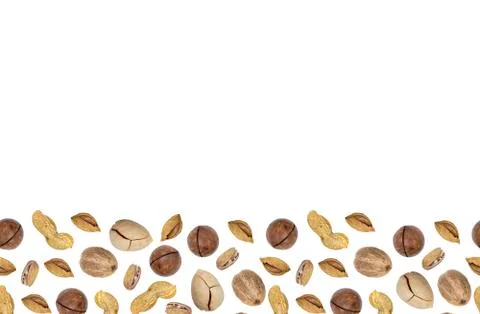 Seamless border of different types of nuts on a white background. Stock Photos