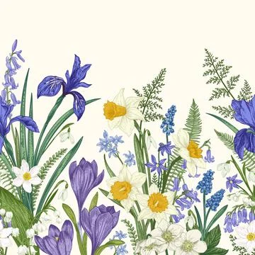 Seamless border with flowers. Illustrazione stock