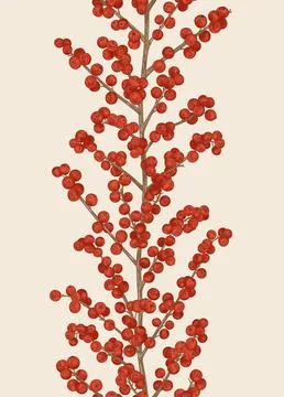 Seamless border with illex berries. Illustrazione stock