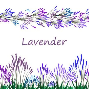 Seamless border with the image of blooming lavender. イラスト素材