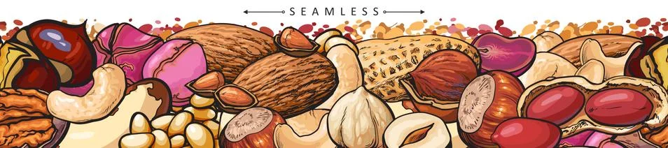 Seamless border or pattern with peanuts and cashew vector illustration isolated. イラスト素材