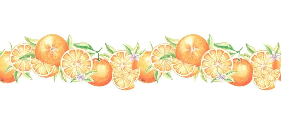 Seamless border with oranges fruit, slice, flowers and leaves. Watercolor hand Stock Illustration