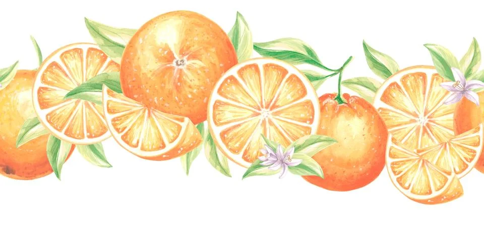 Seamless border with oranges fruit, slice, flowers and leaves. Watercolor hand Stock Illustration
