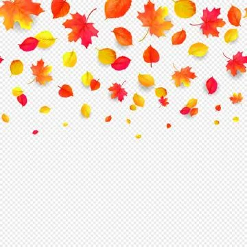 Seamless border pattern of falling autumn leaves. Vector Stock Illustration
