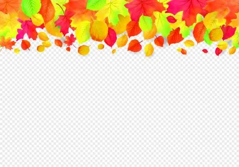 Seamless border pattern of falling autumn leaves. Vector Stock Illustration
