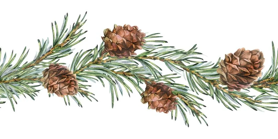 A seamless border pattern of green branches and brown pine cones. Hand-drawn Stock Illustration