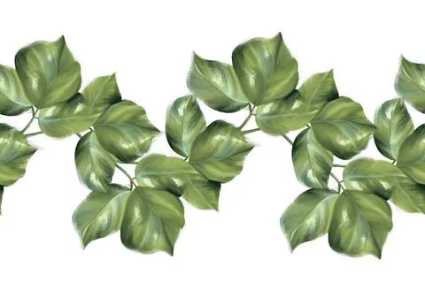 Seamless border pattern of green leaves. Floral garland. 스톡 일러스트