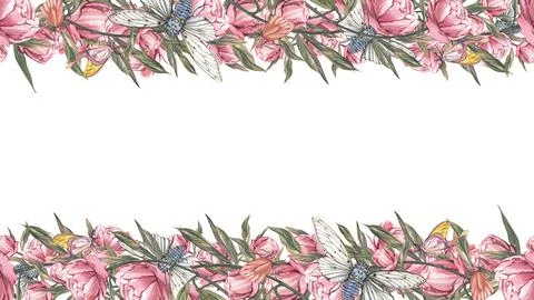 Seamless border peony flower, cicada, butterfly isolated white background Stock Illustration