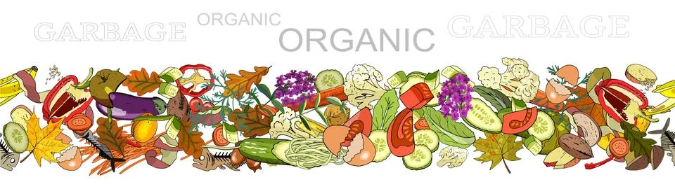 Seamless border with sorted organic garbage. Collection of patterns with sepa Stock Illustration