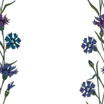 Seamless borders  with flowers Stock Illustration