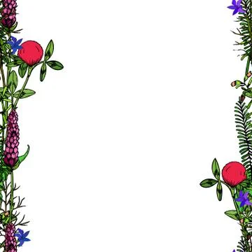 Seamless borders with flowers Stock Illustration