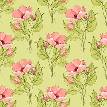Seamless botanical pattern of pink flowers Stock Illustration