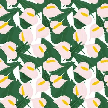 Seamless botanical pattern with pink flowers . Pink anthurium with leaves イラスト素材