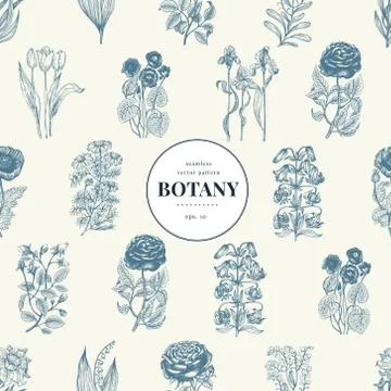Seamless botanical pattern in vintage style. Vintage illustration. Vector design Stock Illustration