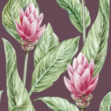 Seamless botanical watercolor pattern with ginger leaves and red flowers on a Stockillustratie