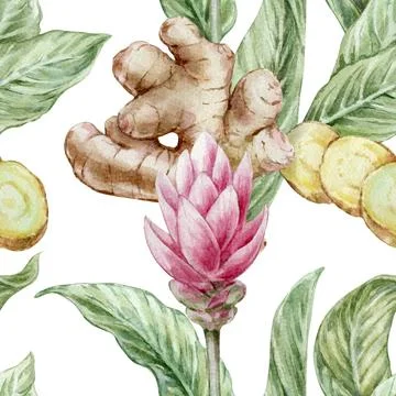 Seamless botanical watercolor pattern with ginger root leaves and red flowers on Stock Illustration