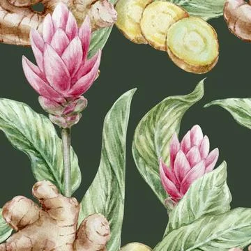 Seamless botanical watercolor pattern with ginger root leaves and red flowers on Stock Illustration