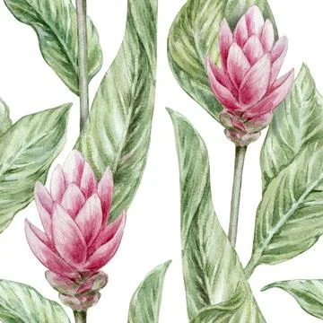 Seamless botanical watercolor pattern with ginger leaves and red flowers on a Stock Illustration